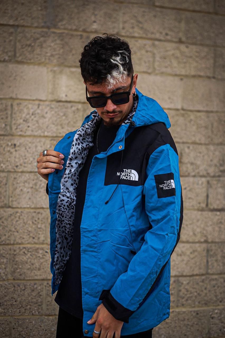 CHAQUETA NORTH FACE IMPORT
